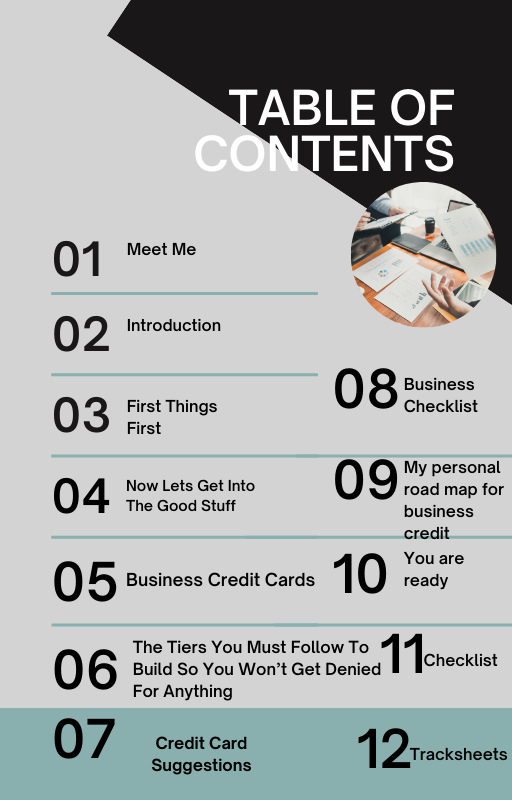 BUILD BUSINESS CREDIT IN 90 DAYS